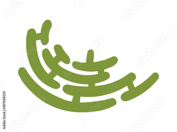 Fototapeta Structure Endoplasmic Reticulum Cell Anatomy