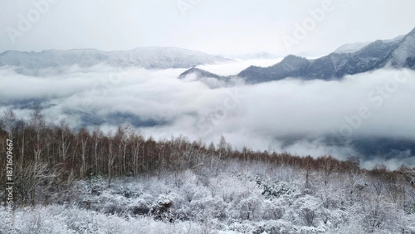 Obraz 아름다운 눈 쌓인 겨울 산