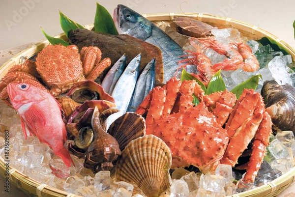 Obraz 海の幸 魚介の盛り合わせ