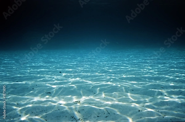 Obraz Odruch na piasku