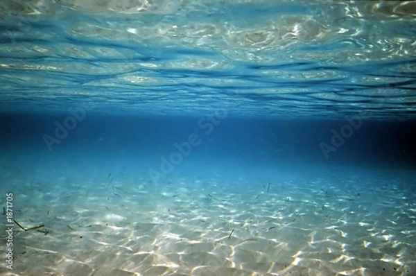 Obraz Odruch powierzchniowy