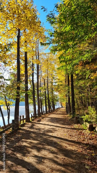 Obraz 아름다운 가을 강변 길 