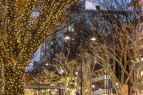 Obraz 表参道　都会の冬のイルミネーション９