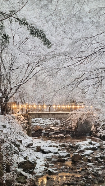 Obraz 눈 덮인 겨울 숲 속 풍경