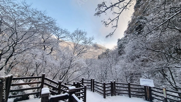 Obraz 눈 쌓인 아름다운 겨울 등산 길