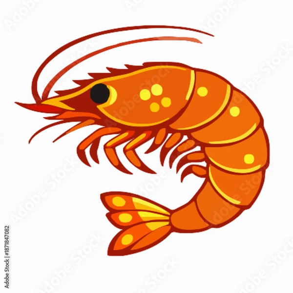 Obraz Shrimp vector clipart art illustration solid white background 