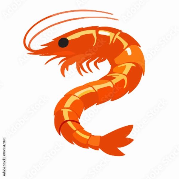 Obraz Shrimp vector clipart art illustration solid white background 