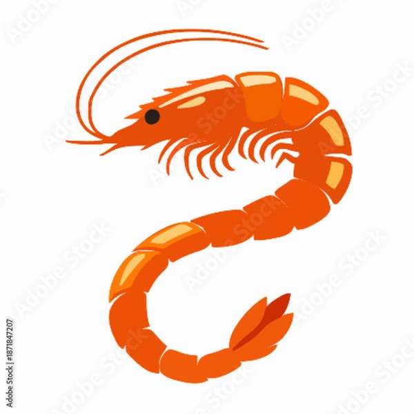 Obraz Shrimp vector clipart art illustration solid white background 