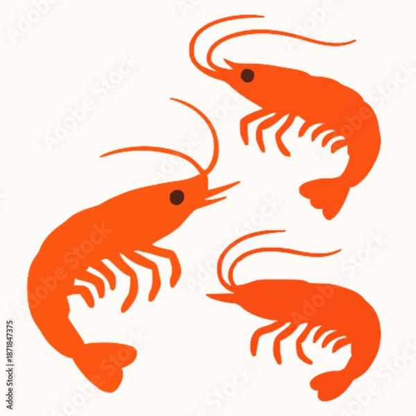 Obraz Shrimp vector clipart art illustration solid white background 