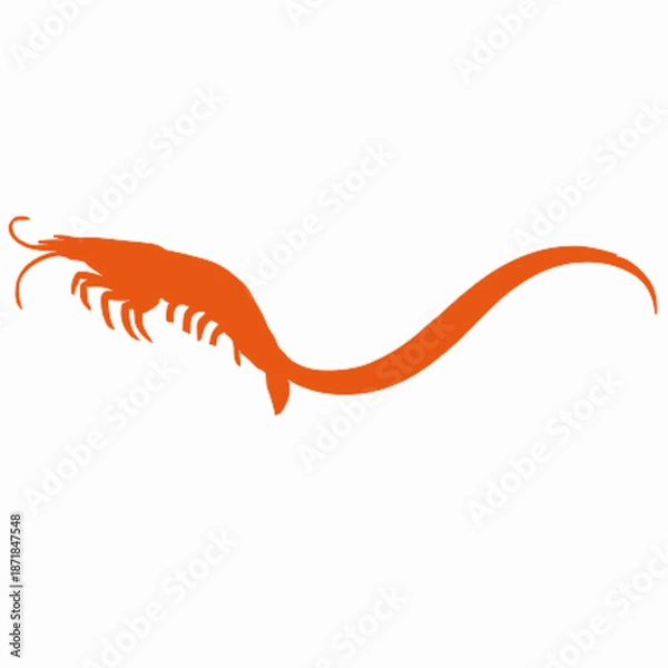 Obraz Shrimp vector clipart art illustration solid white background 