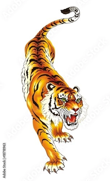 Obraz Wektor tygrysa