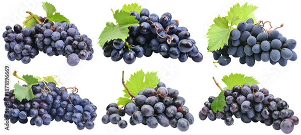 Obraz Collection grapes isolated on white