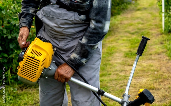 Obraz Gardener with trimmer in garden plot