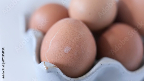 Fototapeta oeufs rangés