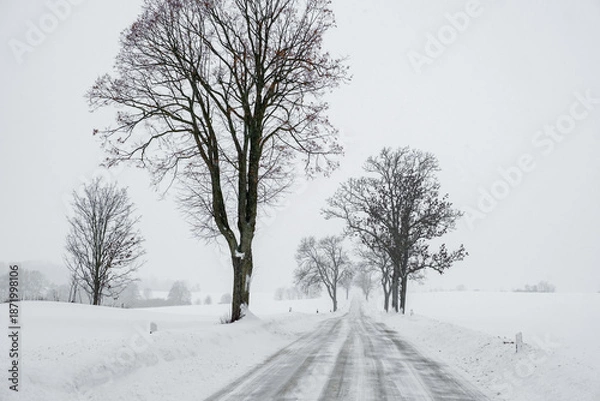 Fototapeta Schneebedeckte Landstraße