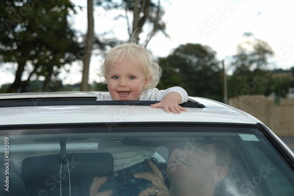 Obraz upon the rooftop...