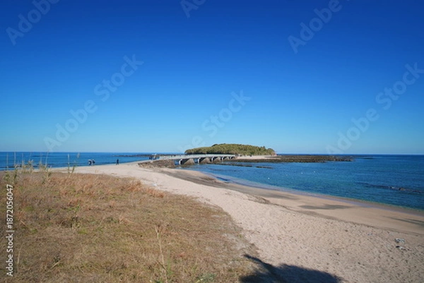 Obraz 宮崎県宮崎市の青島ビーチ