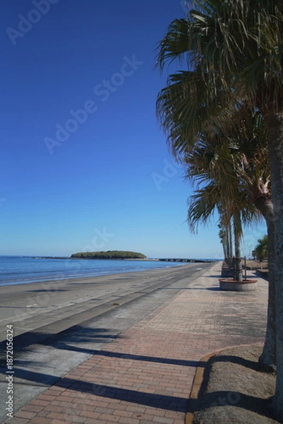 Obraz 宮崎県宮崎市の青島ビーチ