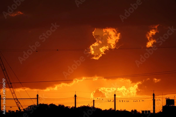 Obraz 夕焼けと鳥2_769