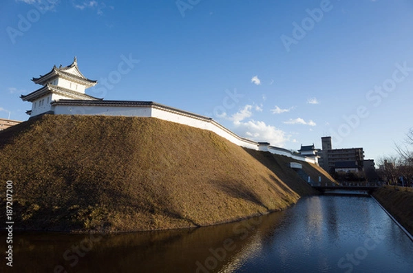 Fototapeta 宇都宮城