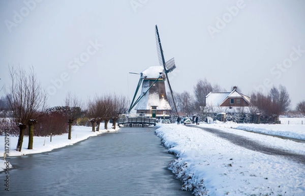 Obraz Dutch windmill in the snow