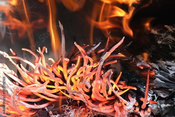 Obraz 赤い炎の芯