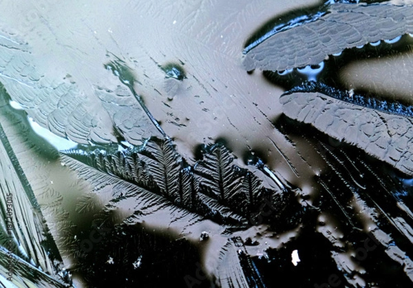 Obraz 溶け出した氷