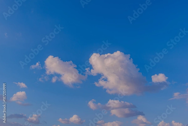Fototapeta 青空と雲の親子