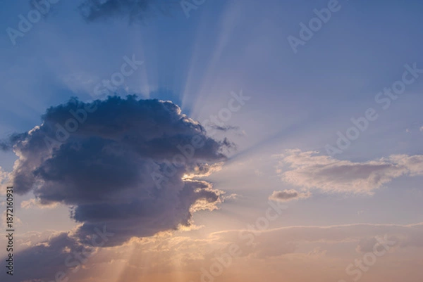 Obraz 朝焼けの叫び