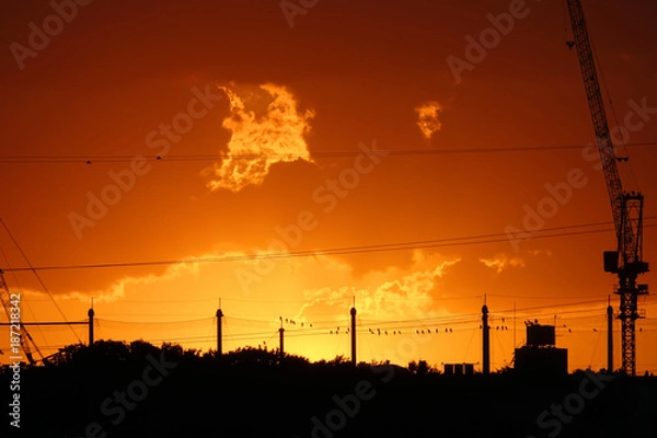 Obraz 夕焼けと鳥_768