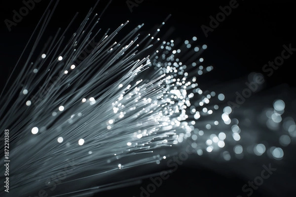 Obraz 光ファイバー