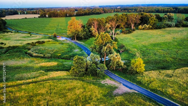 Obraz landscape with a field