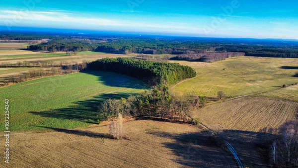 Obraz landscape with tress