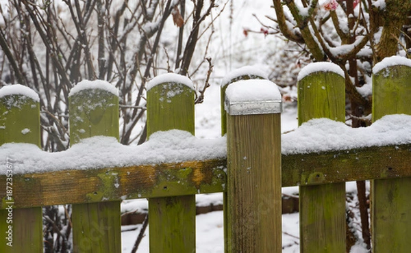 Obraz Schnee im Garten