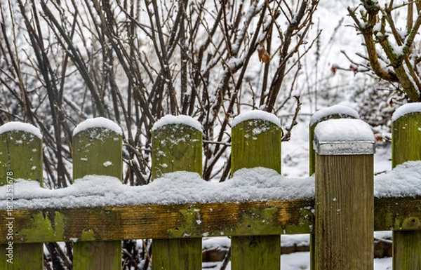 Obraz Schnee im Garten