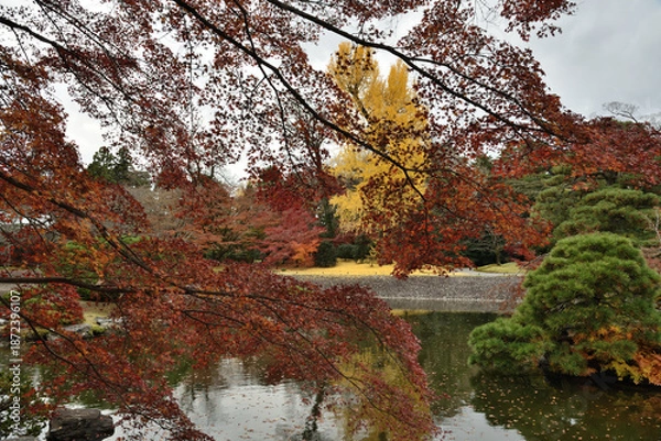 Fototapeta 秋の仙洞御所　北池の景色(京都市上京区)