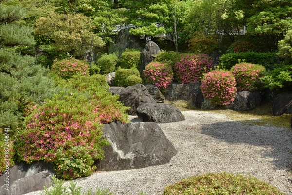 Fototapeta 三室戸寺　サツキの頃の石庭(京都府宇治市)