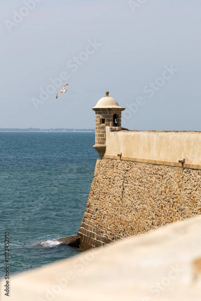 Obraz Malecón de Cádiz
