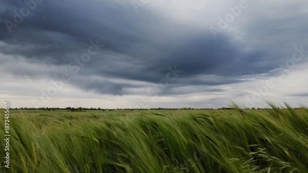 Obraz Storm clouds over green field