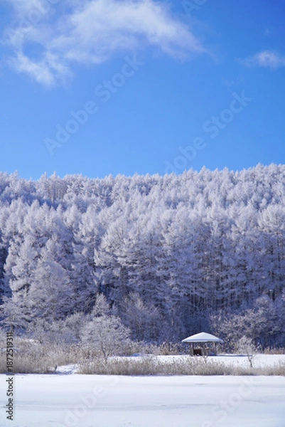Obraz 聖高原　中牧湖の霧氷