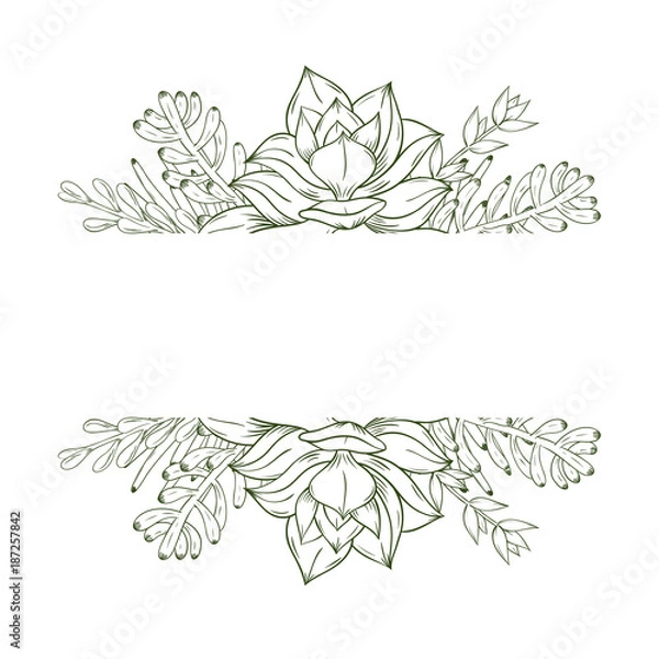 Fototapeta Card design with succulent plants. Vector illustration.