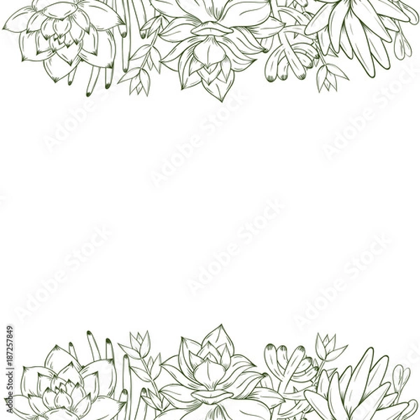 Fototapeta Hand drawn succulent frame on whit background. Vector illustration.