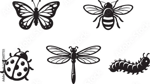 Obraz set of butterflies bundle vector eps