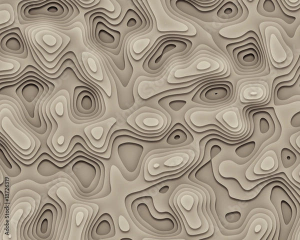 Obraz Abstract Geographic Curves Background