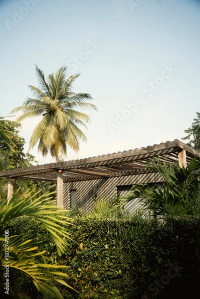 Obraz ケニア・モンバサのダイアニビーチに広がる白砂とインド洋の海