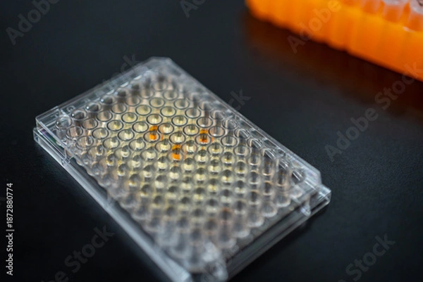 Obraz マイクロウェルプレート