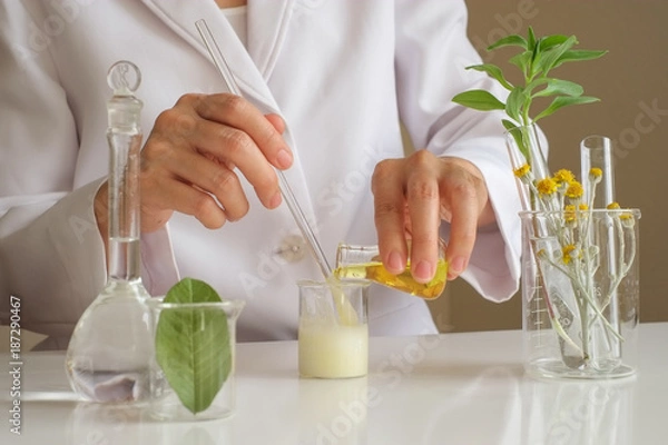 Fototapeta the scientist,dermatologist testing the organic natural product in the laboratory.research and development beauty skincare concept.blank package,bottle,container .cream,serum.