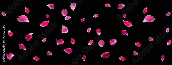 Fototapeta 桜吹雪スタイル 舞い落ちる 桜の花びら　Generative AI
