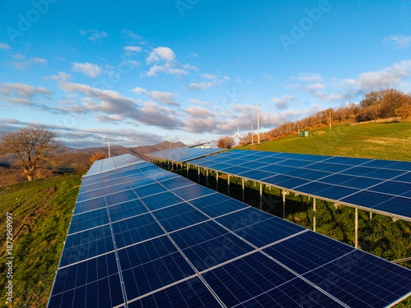 Obraz Solar panel farm generating clean renewable energy