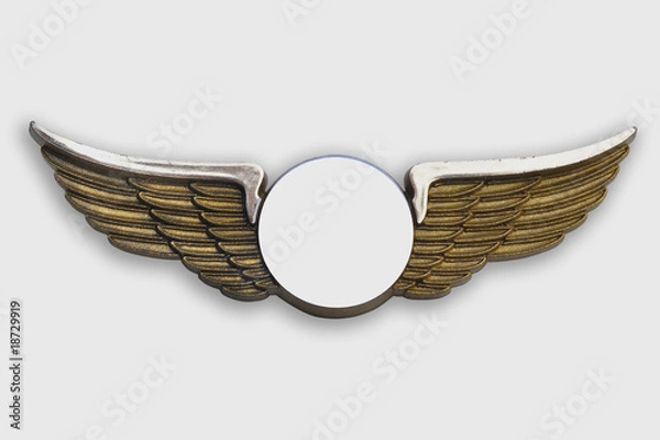 Obraz Golden wings, on white background.